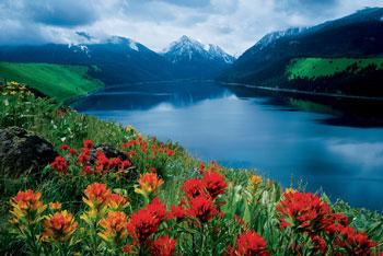 fontastiiiiiiiiiiiiiiiik